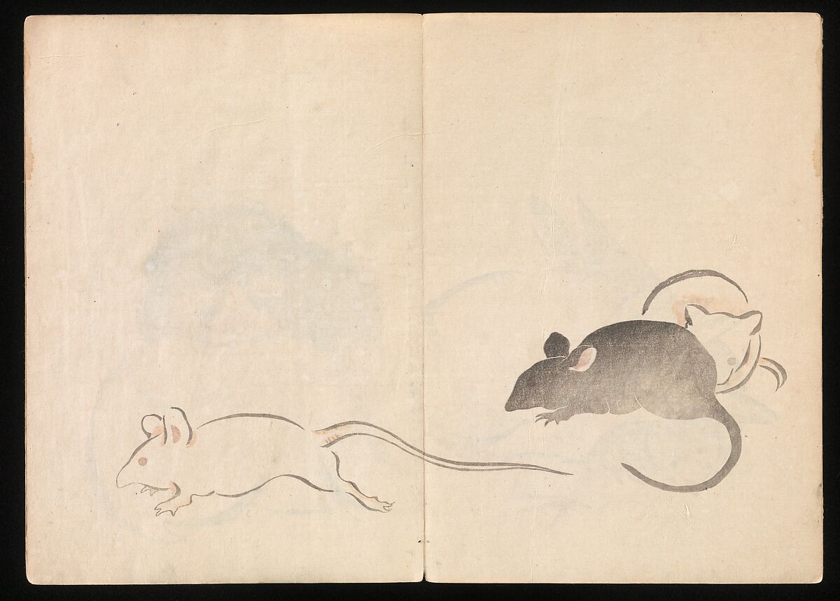 Kōrin Picture Album (Kōrin gafu) 光琳画譜, Nakamura Hōchū 中村芳中 (Japanese, died 1819), Woodblock printed book in two volumes (orihon, accordion-style); ink and color on paper, Japan