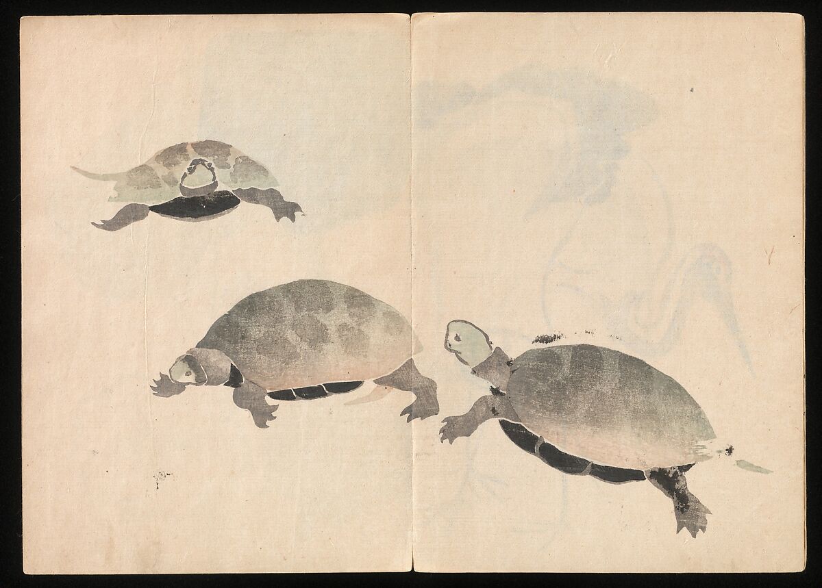 Kōrin Picture Album (Kōrin gafu) 光琳画譜, Nakamura Hōchū 中村芳中 (Japanese, died 1819), Woodblock printed book in two volumes (orihon, accordion-style); ink and color on paper, Japan