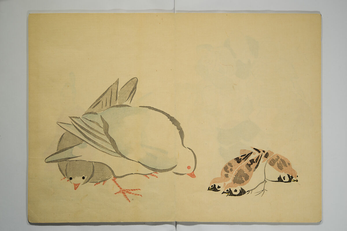 Kōrin Picture Album (Kōrin gafu) 光琳画譜, Nakamura Hōchū 中村芳中 (Japanese, died 1819), Woodblock-printed book (orihon, accordion-style); ink and color on paper, Japan