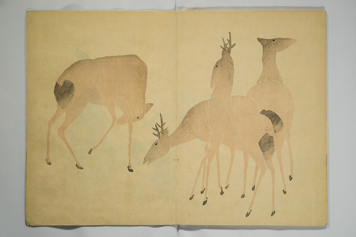 Kōrin Picture Album (Kōrin gafu) 光琳画譜, Nakamura Hōchū 中村芳中 (Japanese, died 1819), Woodblock-printed book (orihon, accordion-style); ink and color on paper, Japan