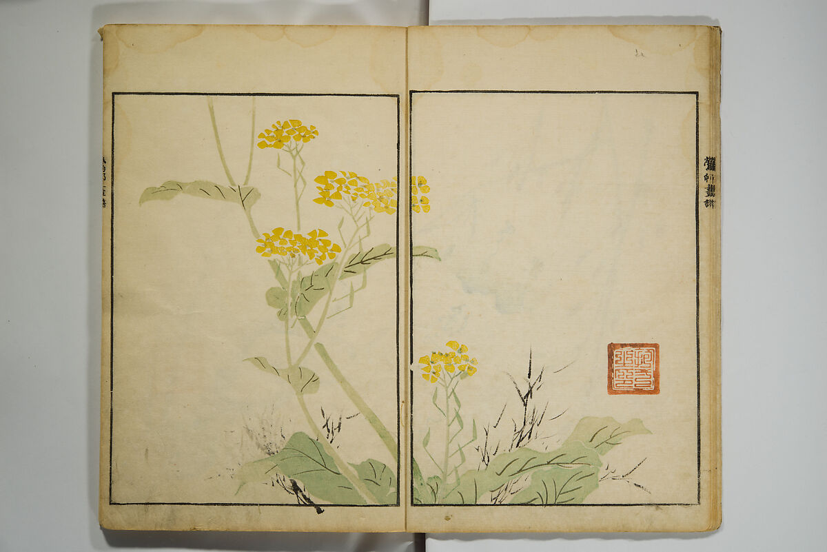 Picture Album by Ōson (Hōitsu) (Ōson fuga), Sakai Hōitsu 酒井抱一 (Japanese, 1761–1828), Woodblock printed book; ink and color on paper, Japan