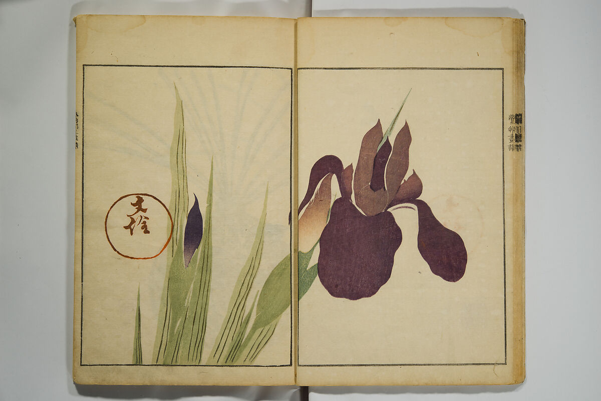 Picture Album by Ōson (Hōitsu) (Ōson fuga), Sakai Hōitsu 酒井抱一 (Japanese, 1761–1828), Woodblock printed book; ink and color on paper, Japan