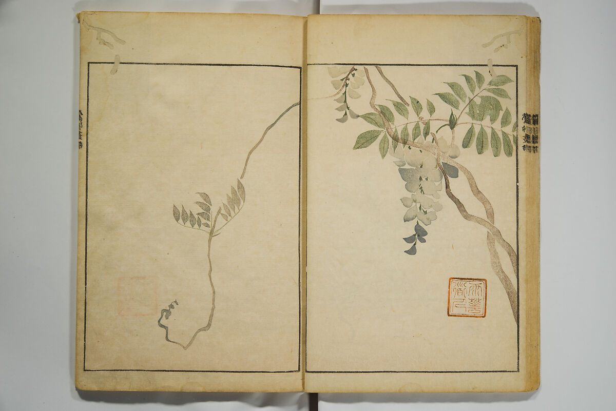 Picture Album by Ōson (Hōitsu) (Ōson fuga), Sakai Hōitsu 酒井抱一 (Japanese, 1761–1828), Woodblock printed book; ink and color on paper, Japan