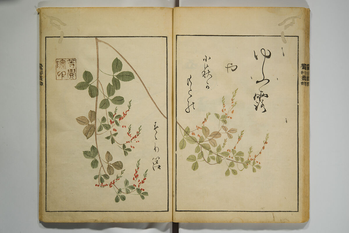 Picture Album by Ōson (Hōitsu) (Ōson fuga), Sakai Hōitsu 酒井抱一 (Japanese, 1761–1828), Woodblock printed book; ink and color on paper, Japan
