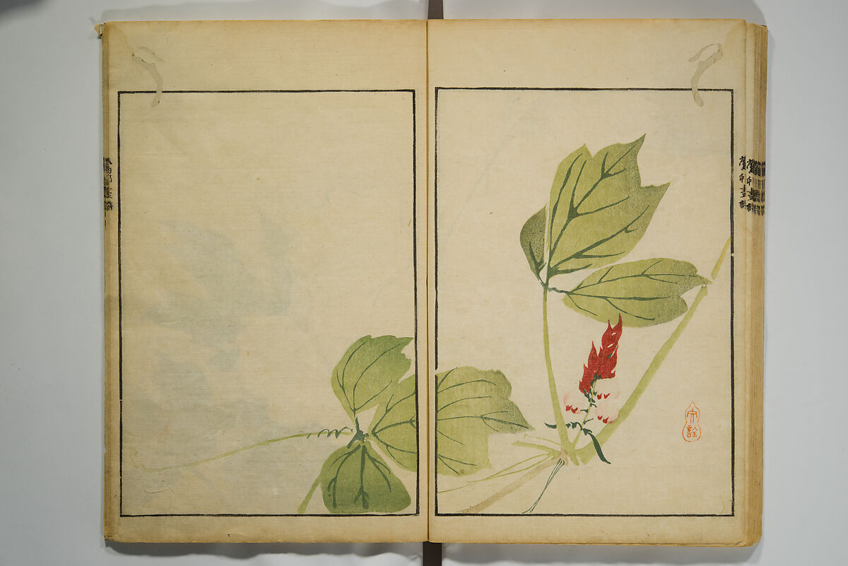 Picture Album by Ōson (Hōitsu) (Ōson fuga), Sakai Hōitsu 酒井抱一 (Japanese, 1761–1828), Woodblock printed book; ink and color on paper, Japan