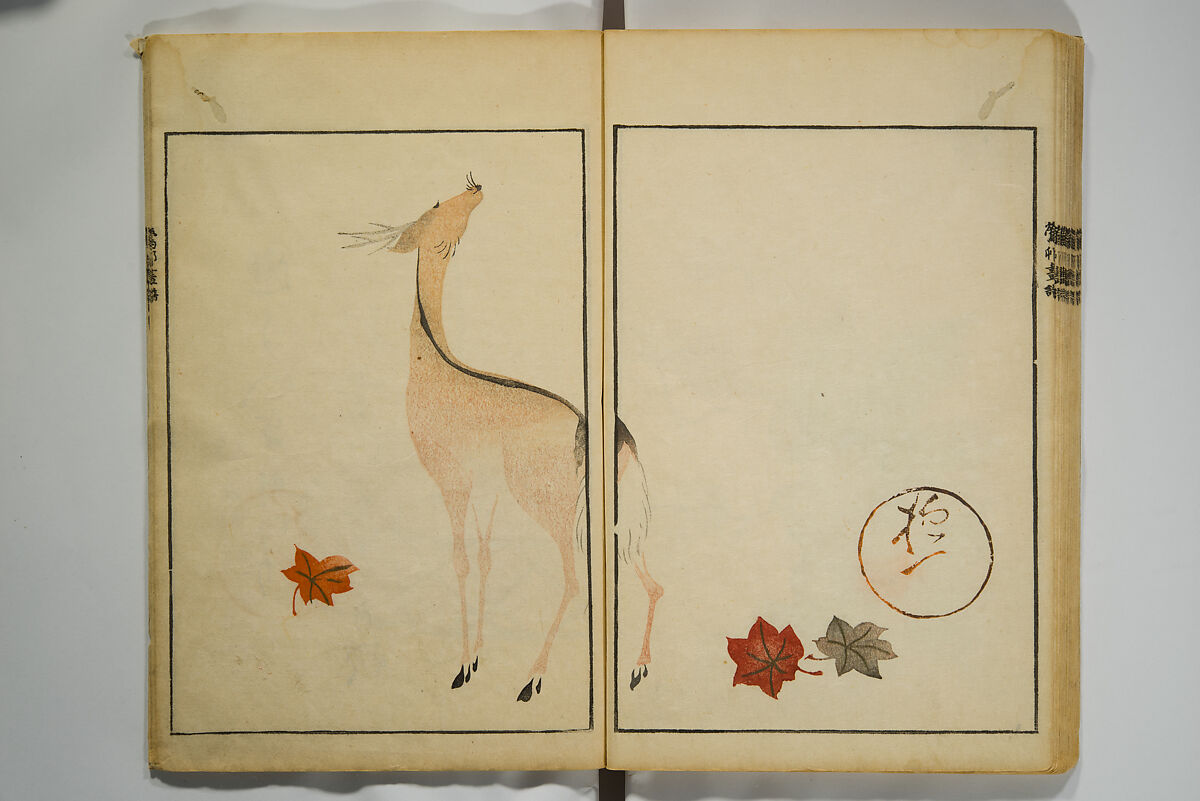 Picture Album by Ōson (Hōitsu) (Ōson fuga), Sakai Hōitsu 酒井抱一 (Japanese, 1761–1828), Woodblock printed book; ink and color on paper, Japan