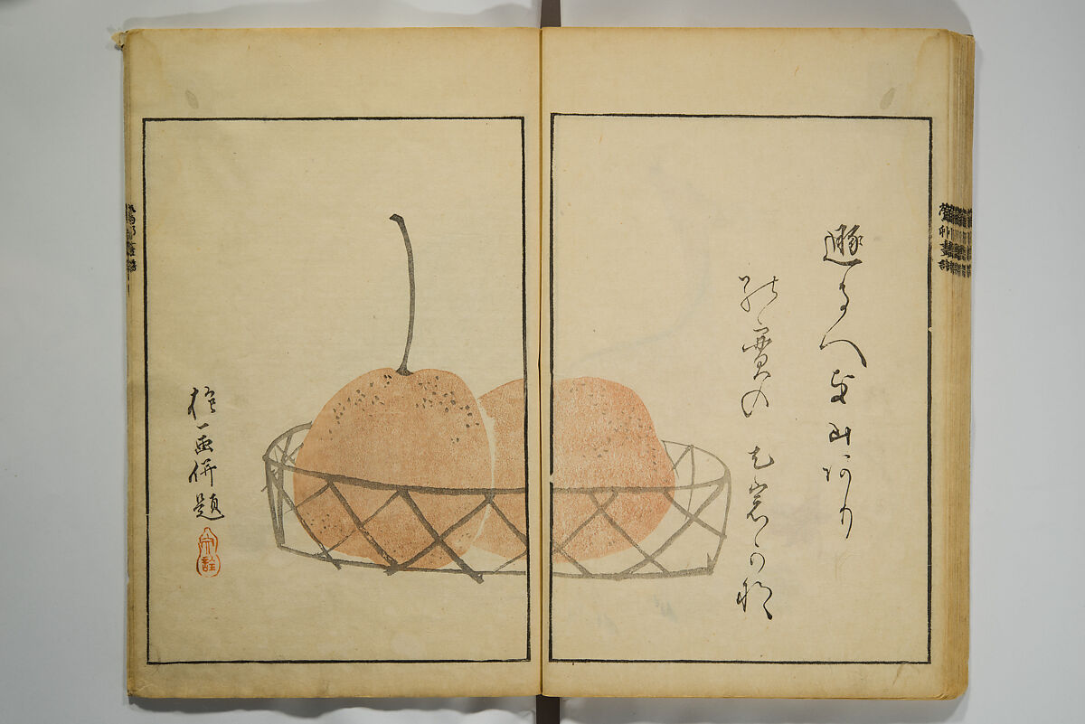 Picture Album by Ōson (Hōitsu) (Ōson fuga), Sakai Hōitsu 酒井抱一 (Japanese, 1761–1828), Woodblock printed book; ink and color on paper, Japan
