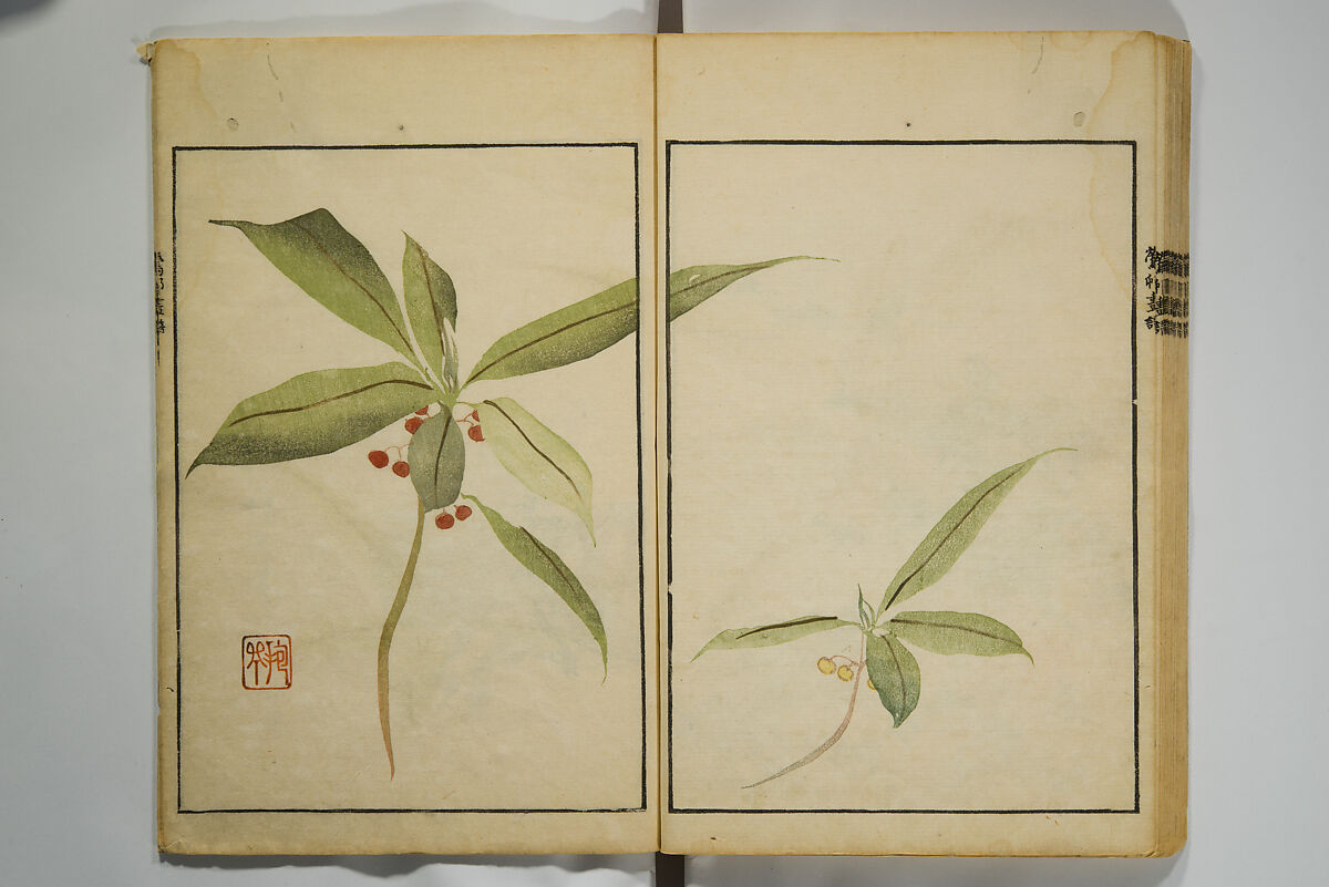 Picture Album by Ōson (Hōitsu) (Ōson fuga), Sakai Hōitsu 酒井抱一 (Japanese, 1761–1828), Woodblock printed book; ink and color on paper, Japan