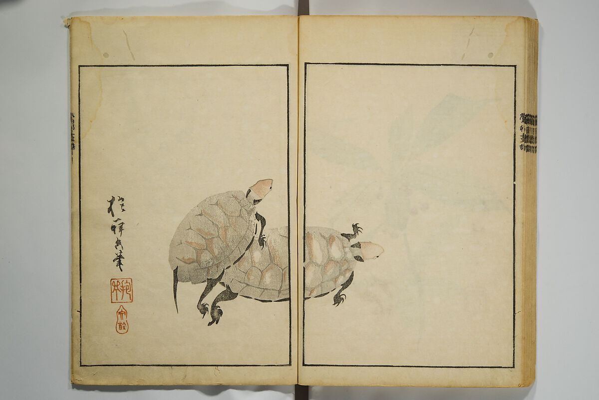 Picture Album by Ōson (Hōitsu) (Ōson fuga), Sakai Hōitsu 酒井抱一 (Japanese, 1761–1828), Woodblock printed book; ink and color on paper, Japan