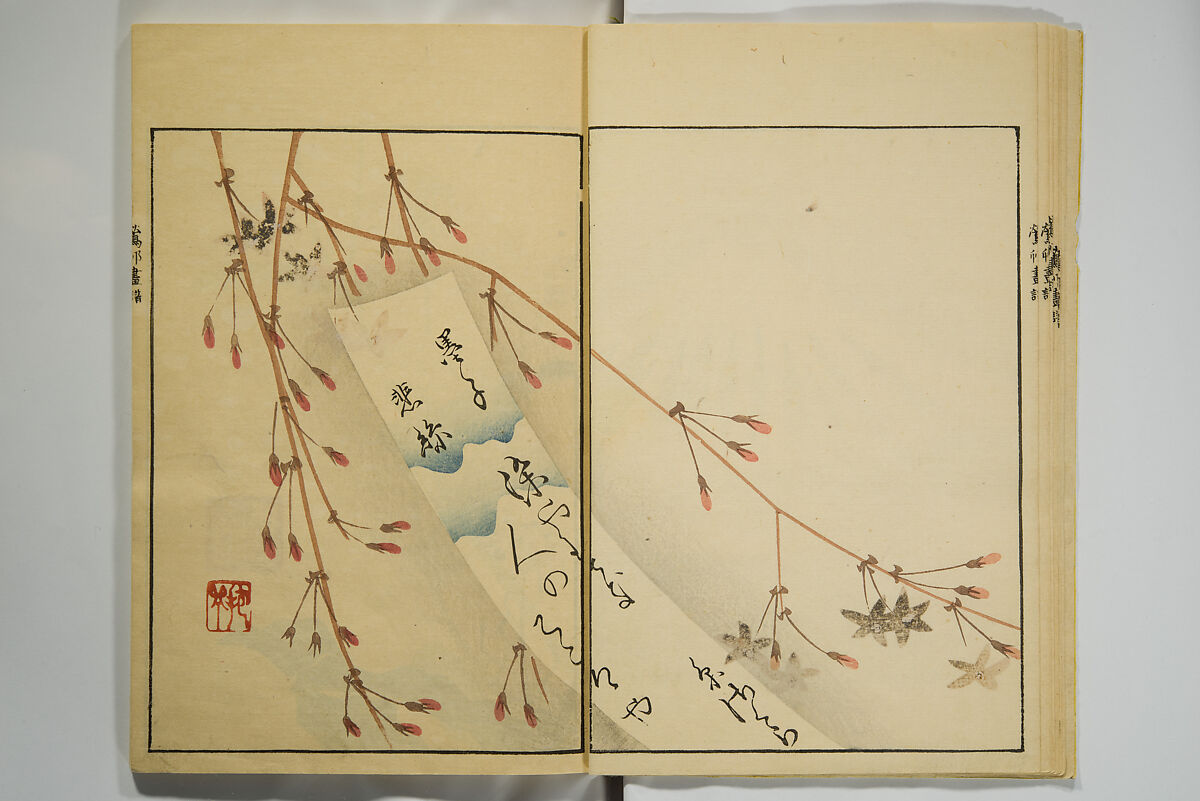 Ōson (Hōitsu) Picture Album (Ōson gafu), Sakai Hōitsu 酒井抱一 (Japanese, 1761–1828), Woodblock printed book; ink and color on paper, Japan