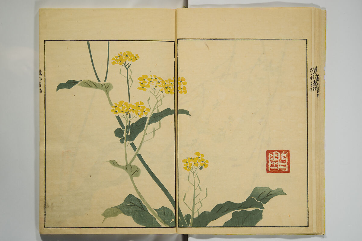 Ōson (Hōitsu) Picture Album (Ōson gafu), Sakai Hōitsu 酒井抱一 (Japanese, 1761–1828), Woodblock printed book; ink and color on paper, Japan
