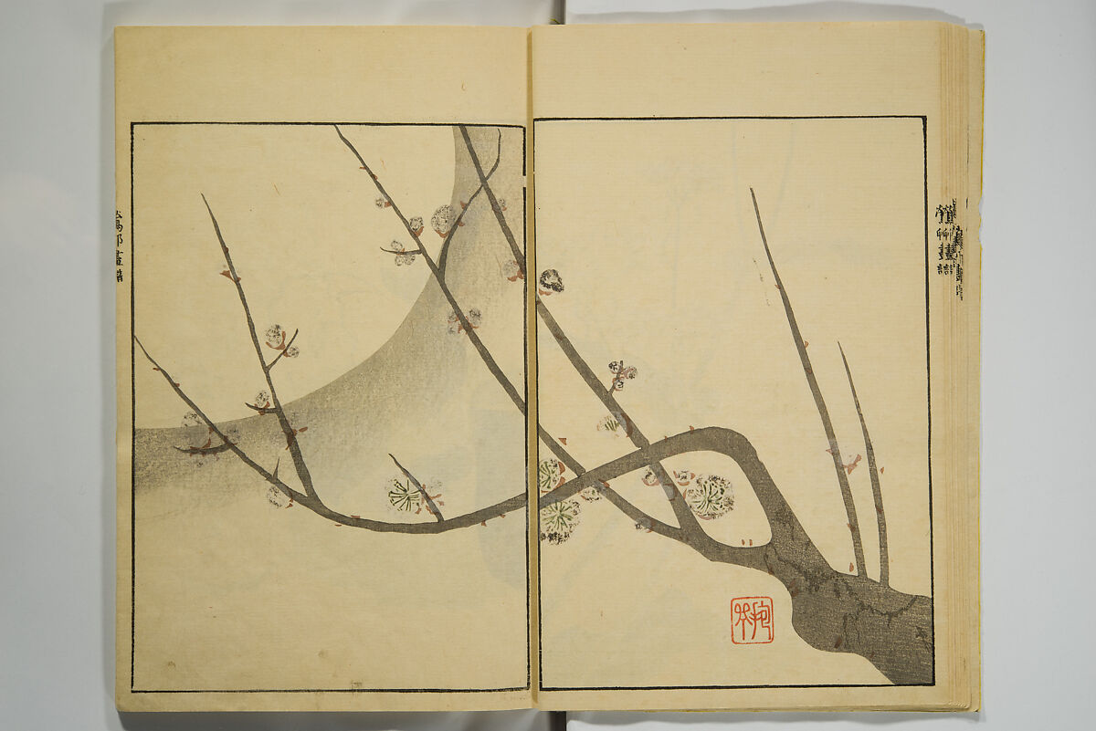 Ōson (Hōitsu) Picture Album (Ōson gafu), Sakai Hōitsu 酒井抱一 (Japanese, 1761–1828), Woodblock printed book; ink and color on paper, Japan