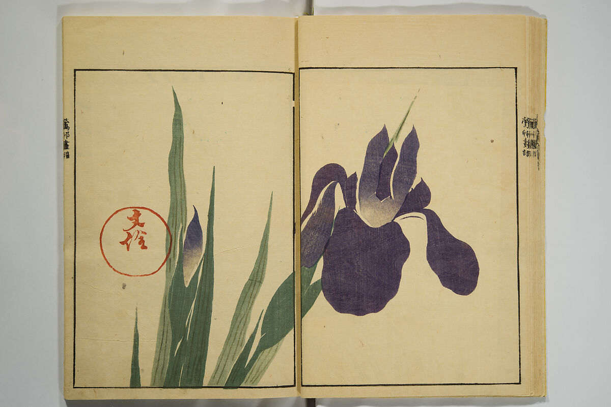 Ōson (Hōitsu) Picture Album (Ōson gafu), Sakai Hōitsu 酒井抱一 (Japanese, 1761–1828), Woodblock printed book; ink and color on paper, Japan