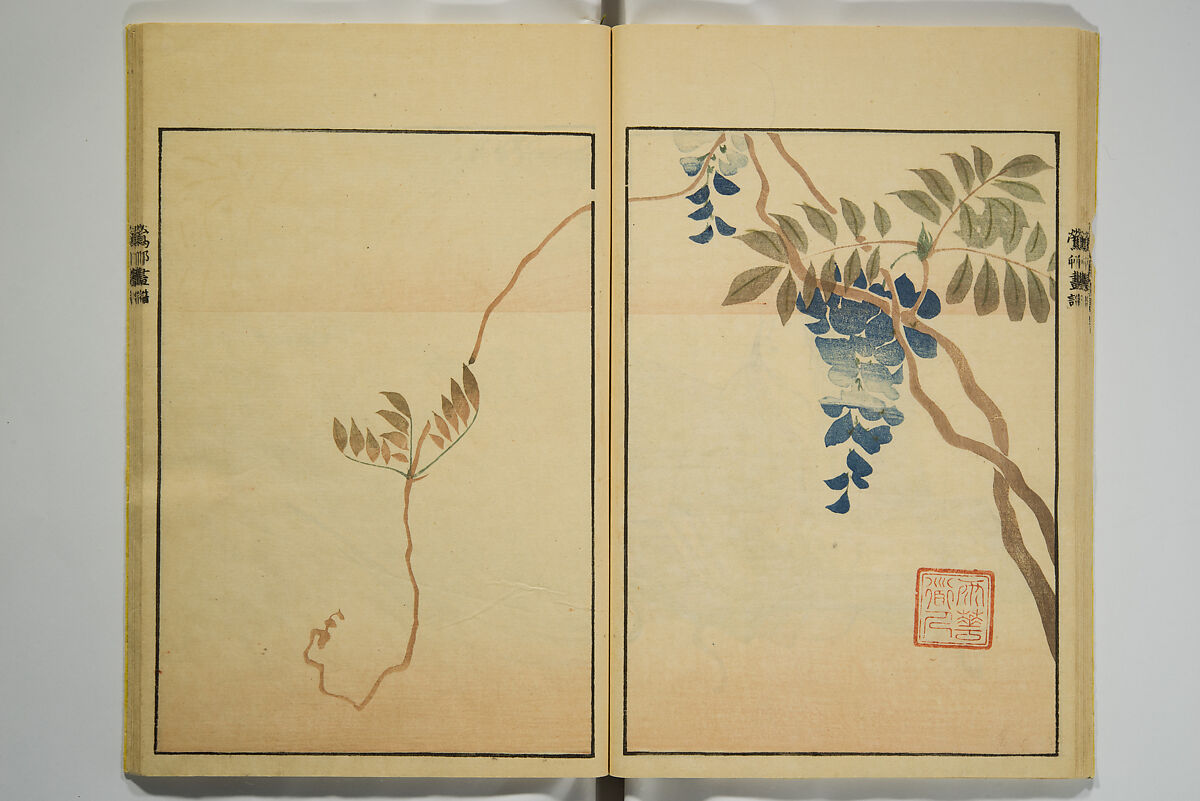Ōson (Hōitsu) Picture Album (Ōson gafu), Sakai Hōitsu 酒井抱一 (Japanese, 1761–1828), Woodblock printed book; ink and color on paper, Japan
