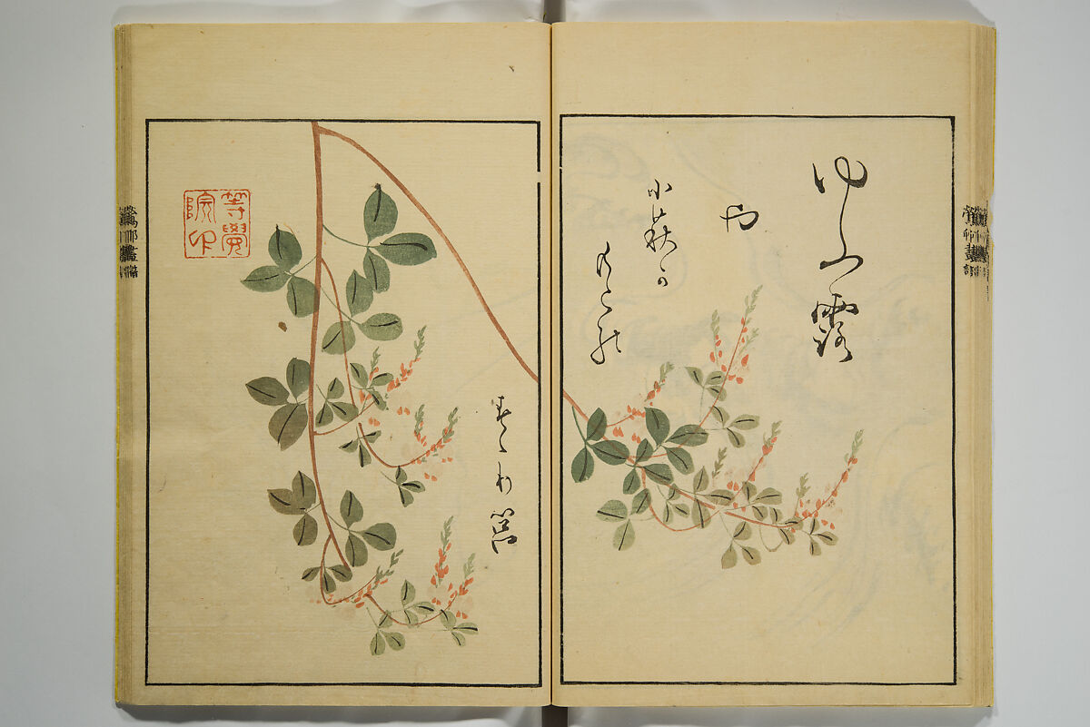 Ōson (Hōitsu) Picture Album (Ōson gafu), Sakai Hōitsu 酒井抱一 (Japanese, 1761–1828), Woodblock printed book; ink and color on paper, Japan