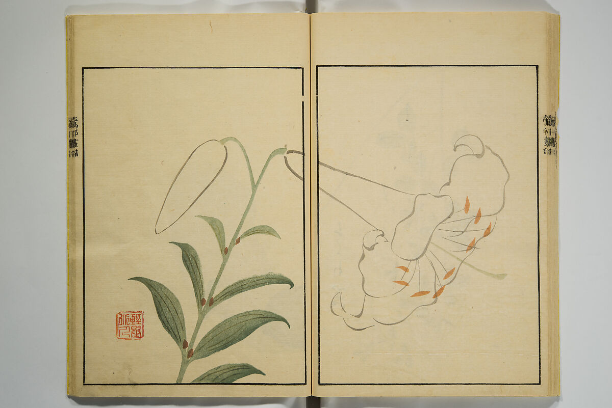Ōson (Hōitsu) Picture Album (Ōson gafu), Sakai Hōitsu 酒井抱一 (Japanese, 1761–1828), Woodblock printed book; ink and color on paper, Japan