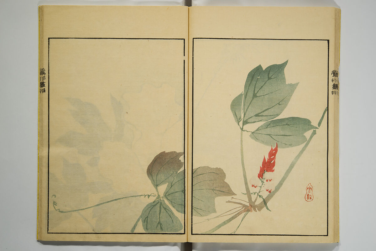 Ōson (Hōitsu) Picture Album (Ōson gafu), Sakai Hōitsu 酒井抱一 (Japanese, 1761–1828), Woodblock printed book; ink and color on paper, Japan
