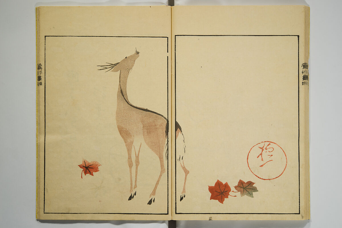 Ōson (Hōitsu) Picture Album (Ōson gafu), Sakai Hōitsu 酒井抱一 (Japanese, 1761–1828), Woodblock printed book; ink and color on paper, Japan