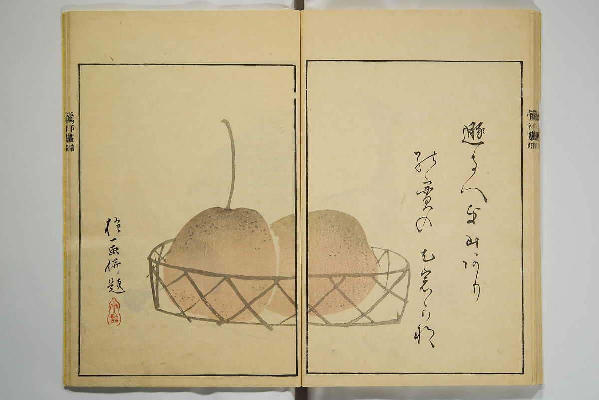 Ōson (Hōitsu) Picture Album (Ōson gafu), Sakai Hōitsu 酒井抱一 (Japanese, 1761–1828), Woodblock printed book; ink and color on paper, Japan