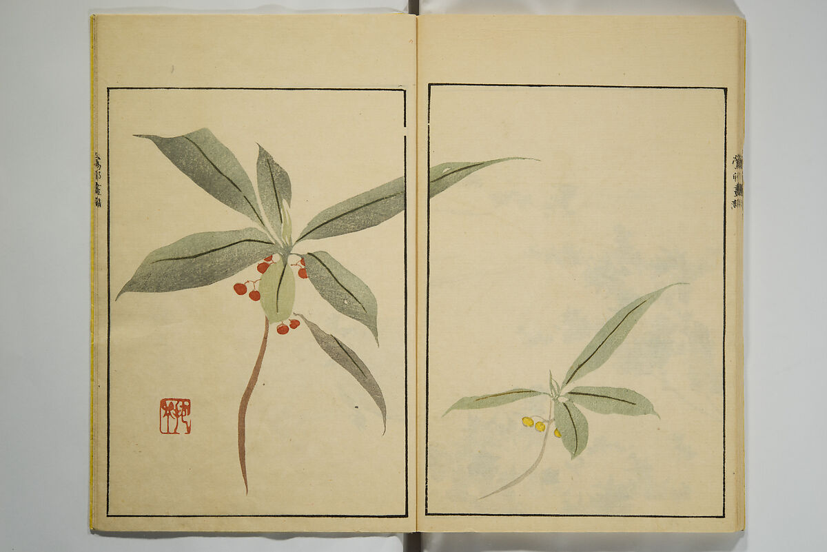 Ōson (Hōitsu) Picture Album (Ōson gafu), Sakai Hōitsu 酒井抱一 (Japanese, 1761–1828), Woodblock printed book; ink and color on paper, Japan