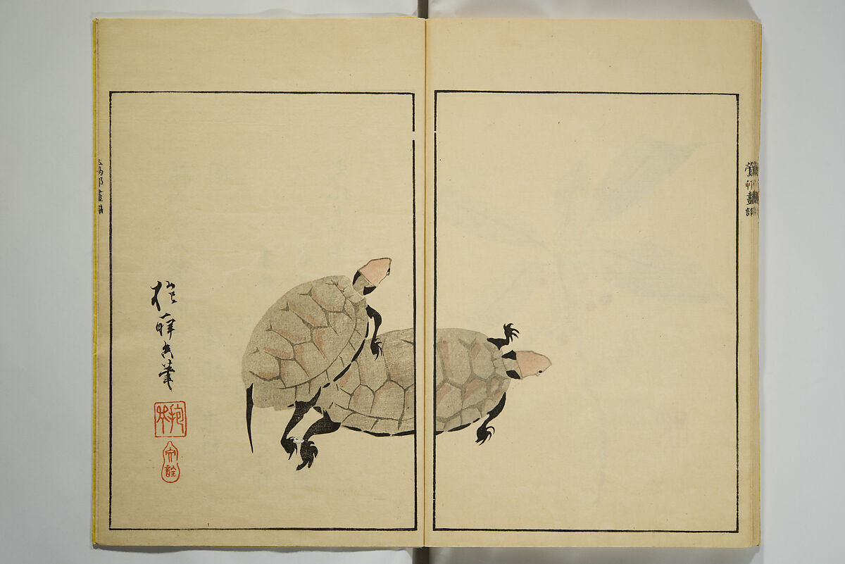 Ōson (Hōitsu) Picture Album (Ōson gafu), Sakai Hōitsu 酒井抱一 (Japanese, 1761–1828), Woodblock printed book; ink and color on paper, Japan