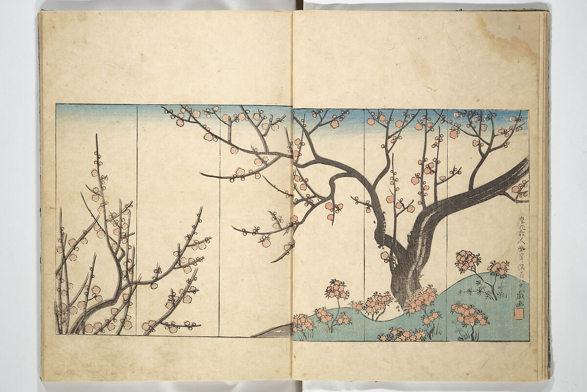 Traces of Kenzan's Brush (Kenzan iboku) 乾山遺墨, Woodblock printed book; ink and color on paper, Japan 