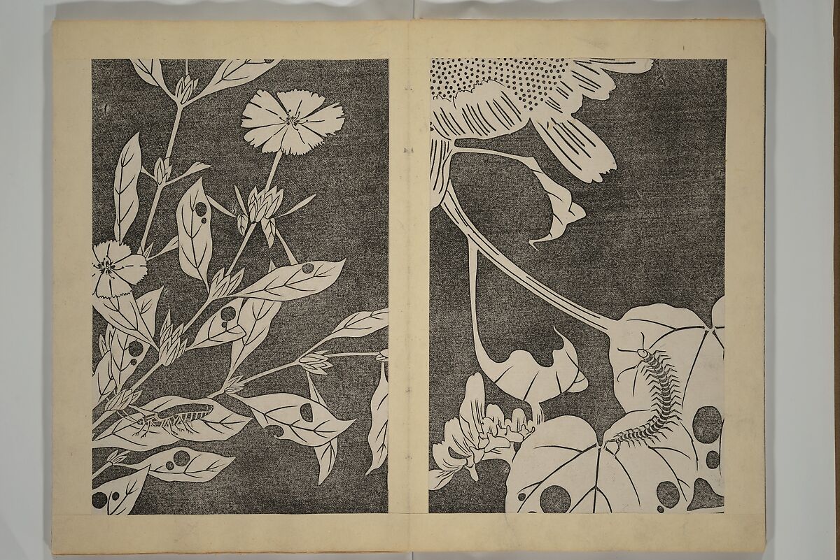 Jakuchū Picture Album (Jakuchū gajō} 若冲画帖, Itō Jakuchū 伊藤若冲 (Japanese, 1716–1800), Set of two woodblock printed books (orihon, accordion-style); ink on paper, Japan