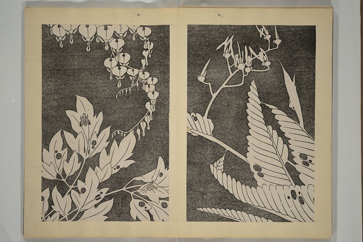 Jakuchū Picture Album (Jakuchū gajō} 若冲画帖, Itō Jakuchū 伊藤若冲 (Japanese, 1716–1800), Set of two woodblock printed books (orihon, accordion-style); ink on paper, Japan