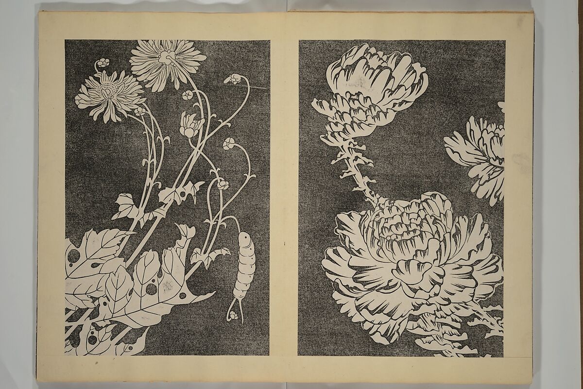 Jakuchū Picture Album (Jakuchū gajō} 若冲画帖, Itō Jakuchū 伊藤若冲 (Japanese, 1716–1800), Set of two woodblock printed books (orihon, accordion-style); ink on paper, Japan