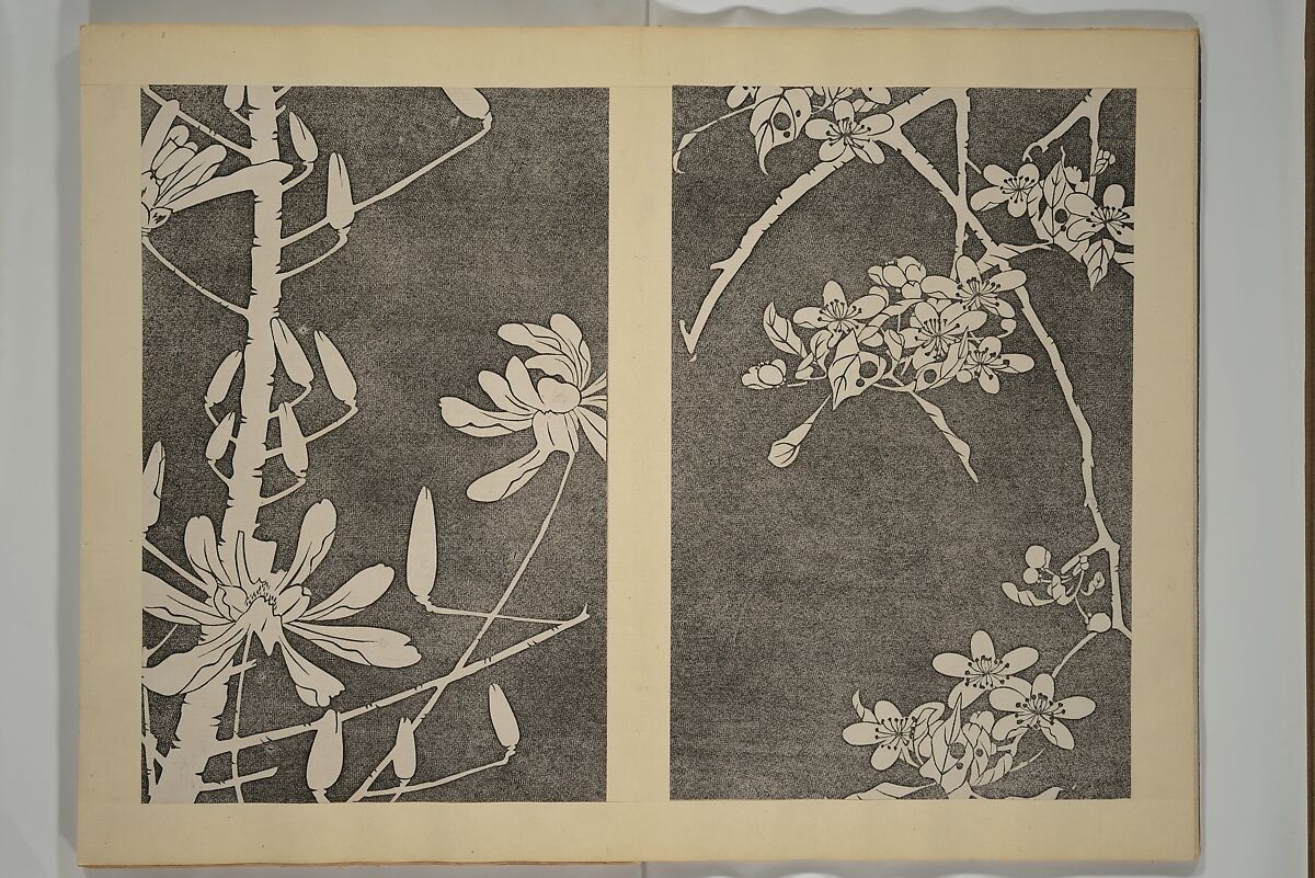 Jakuchū Picture Album (Jakuchū gajō} 若冲画帖, Itō Jakuchū 伊藤若冲 (Japanese, 1716–1800), Set of two woodblock printed books (orihon, accordion-style); ink on paper, Japan