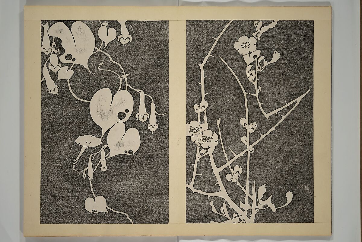 Jakuchū Picture Album (Jakuchū gajō} 若冲画帖, Itō Jakuchū 伊藤若冲 (Japanese, 1716–1800), Set of two woodblock printed books (orihon, accordion-style); ink on paper, Japan
