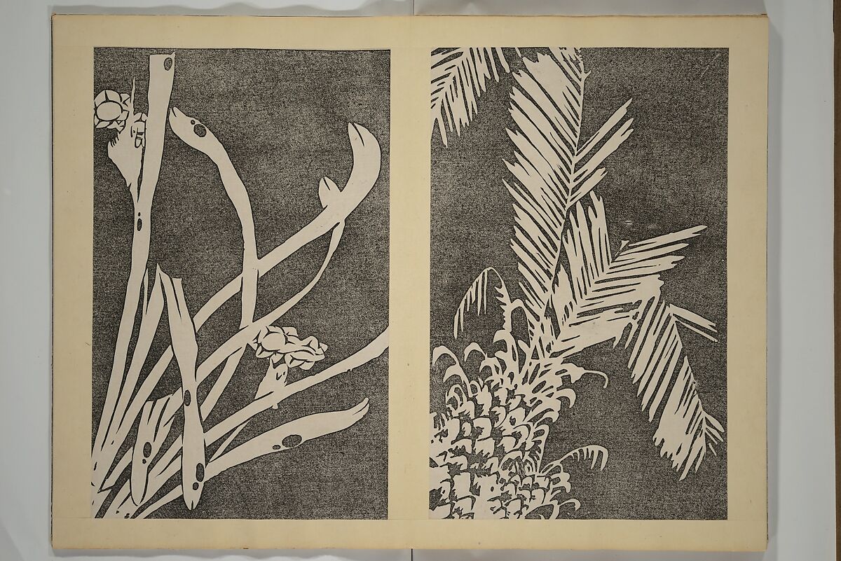 Jakuchū Picture Album (Jakuchū gajō} 若冲画帖, Itō Jakuchū 伊藤若冲 (Japanese, 1716–1800), Set of two woodblock printed books (orihon, accordion-style); ink on paper, Japan