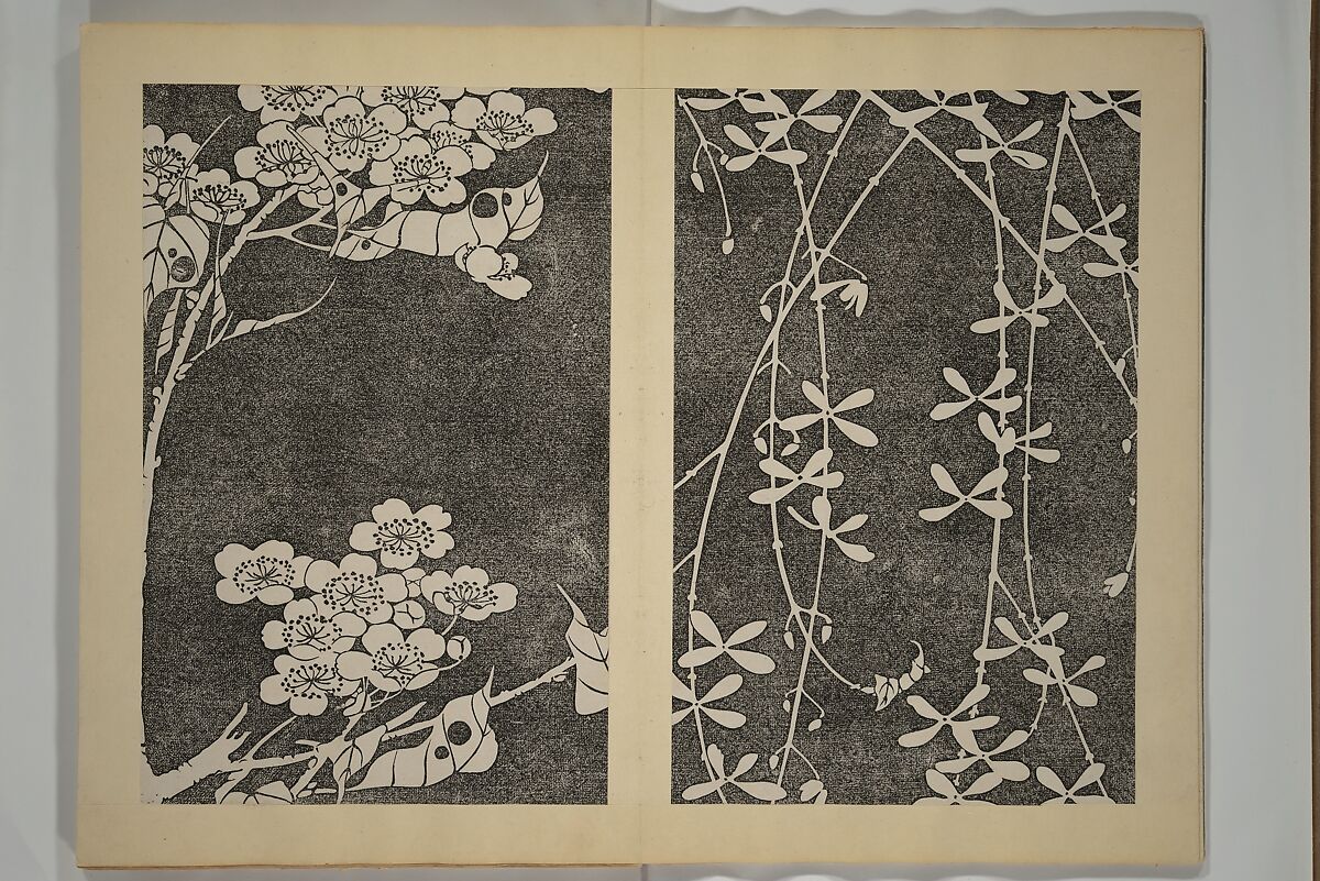 Jakuchū Picture Album (Jakuchū gajō} 若冲画帖, Itō Jakuchū 伊藤若冲 (Japanese, 1716–1800), Set of two woodblock printed books (orihon, accordion-style); ink on paper, Japan
