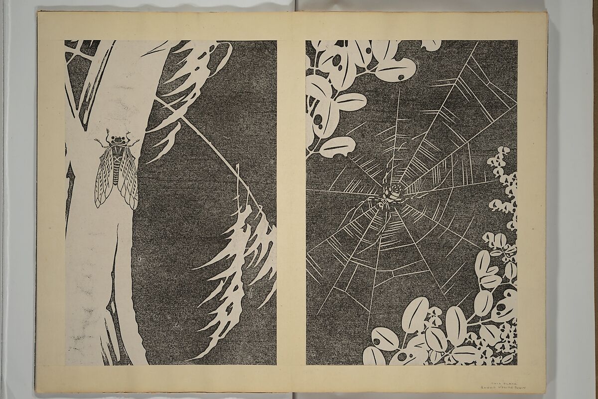 Jakuchū Picture Album (Jakuchū gajō} 若冲画帖, Itō Jakuchū 伊藤若冲 (Japanese, 1716–1800), Set of two woodblock printed books (orihon, accordion-style); ink on paper, Japan