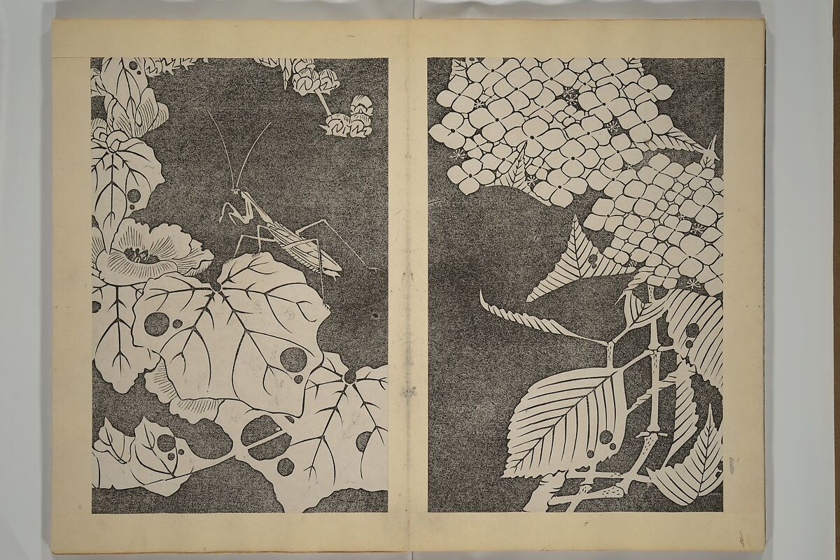 Jakuchū Picture Album (Jakuchū gajō} 若冲画帖, Itō Jakuchū 伊藤若冲 (Japanese, 1716–1800), Set of two woodblock printed books (orihon, accordion-style); ink on paper, Japan