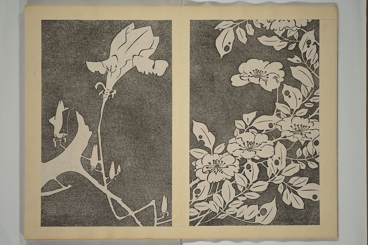 Jakuchū Picture Album (Jakuchū gajō} 若冲画帖, Itō Jakuchū 伊藤若冲 (Japanese, 1716–1800), Set of two woodblock printed books (orihon, accordion-style); ink on paper, Japan
