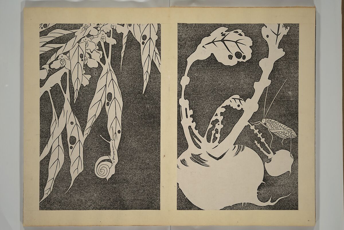 Jakuchū Picture Album (Jakuchū gajō} 若冲画帖, Itō Jakuchū 伊藤若冲 (Japanese, 1716–1800), Set of two woodblock printed books (orihon, accordion-style); ink on paper, Japan