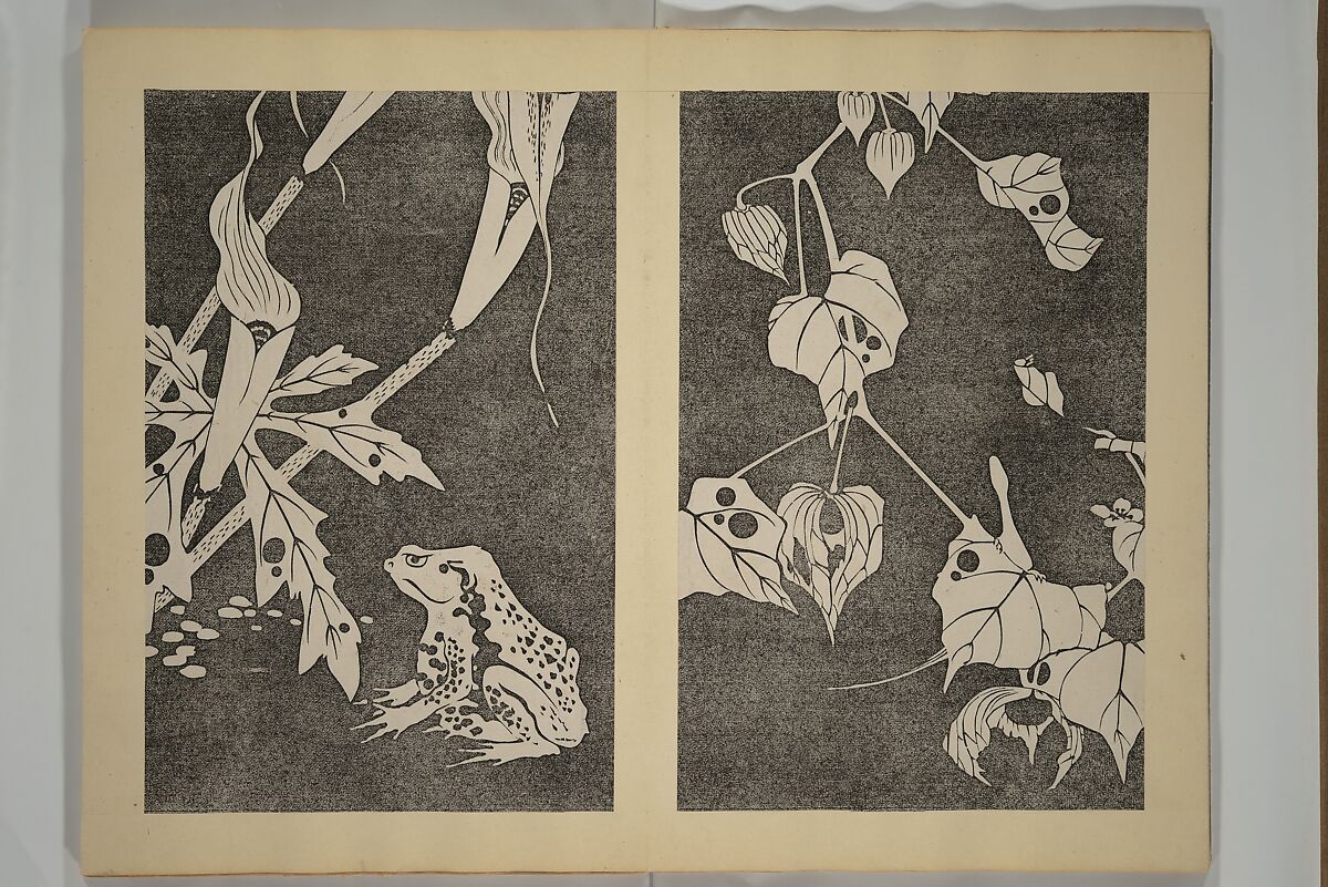 Jakuchū Picture Album (Jakuchū gajō} 若冲画帖, Itō Jakuchū 伊藤若冲 (Japanese, 1716–1800), Set of two woodblock printed books (orihon, accordion-style); ink on paper, Japan
