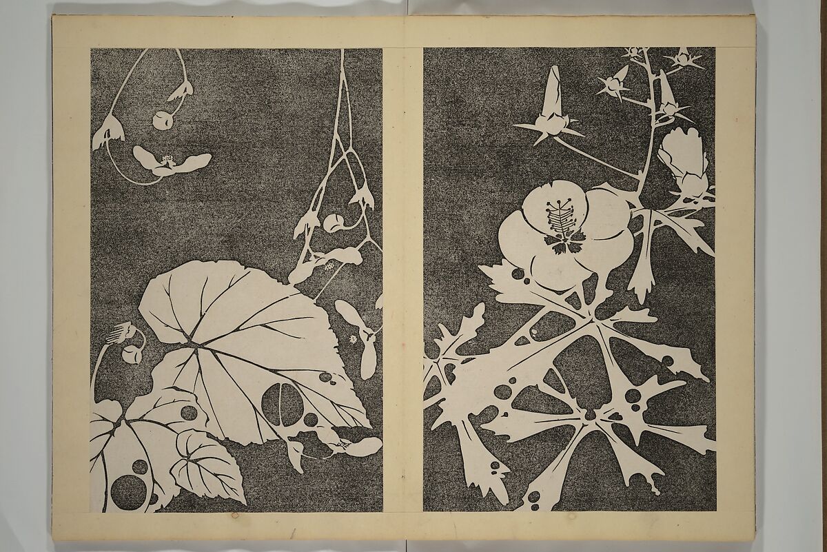 Jakuchū Picture Album (Jakuchū gajō} 若冲画帖, Itō Jakuchū 伊藤若冲 (Japanese, 1716–1800), Set of two woodblock printed books (orihon, accordion-style); ink on paper, Japan