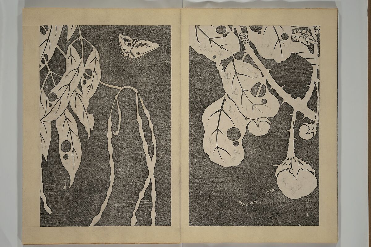 Jakuchū Picture Album (Jakuchū gajō} 若冲画帖, Itō Jakuchū 伊藤若冲 (Japanese, 1716–1800), Set of two woodblock printed books (orihon, accordion-style); ink on paper, Japan