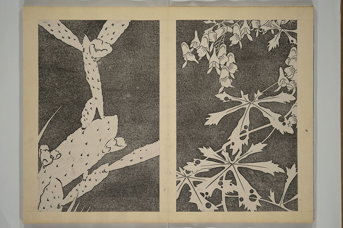 Jakuchū Picture Album (Jakuchū gajō} 若冲画帖, Itō Jakuchū 伊藤若冲 (Japanese, 1716–1800), Set of two woodblock printed books (orihon, accordion-style); ink on paper, Japan