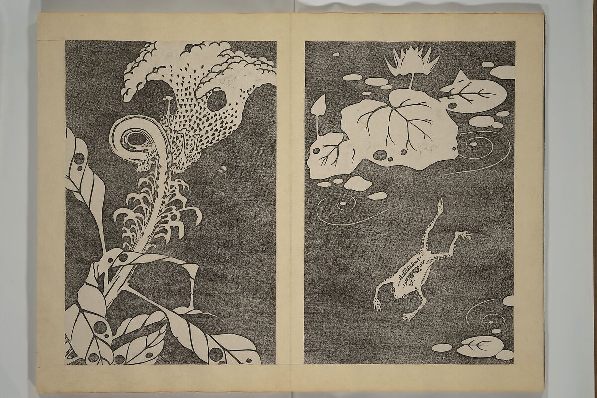 Jakuchū Picture Album (Jakuchū gajō} 若冲画帖, Itō Jakuchū 伊藤若冲 (Japanese, 1716–1800), Set of two woodblock printed books (orihon, accordion-style); ink on paper, Japan