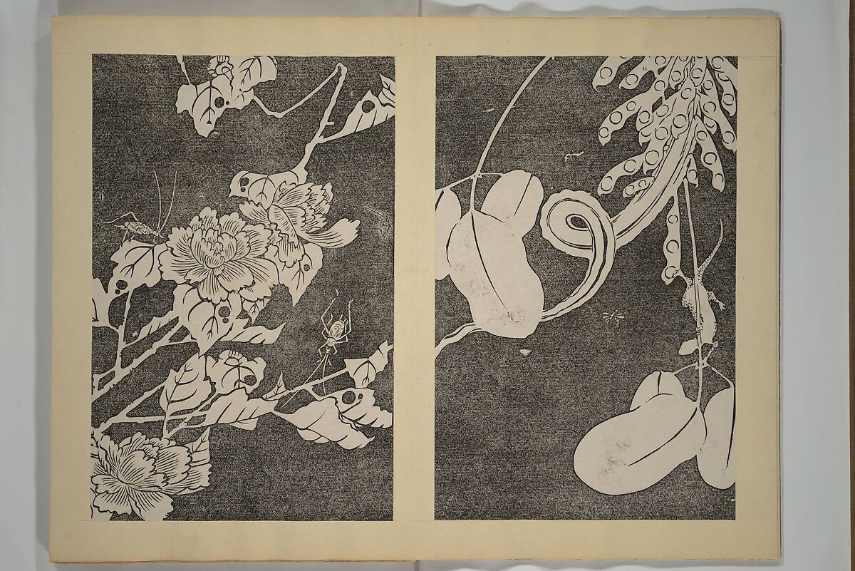Jakuchū Picture Album (Jakuchū gajō} 若冲画帖, Itō Jakuchū 伊藤若冲 (Japanese, 1716–1800), Set of two woodblock printed books (orihon, accordion-style); ink on paper, Japan