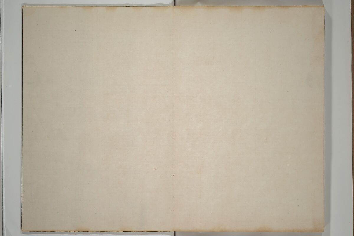 Jakuchū Picture Album (Jakuchū gajō} 若冲画帖, Itō Jakuchū 伊藤若冲 (Japanese, 1716–1800), Set of two woodblock printed books (orihon, accordion-style); ink on paper, Japan