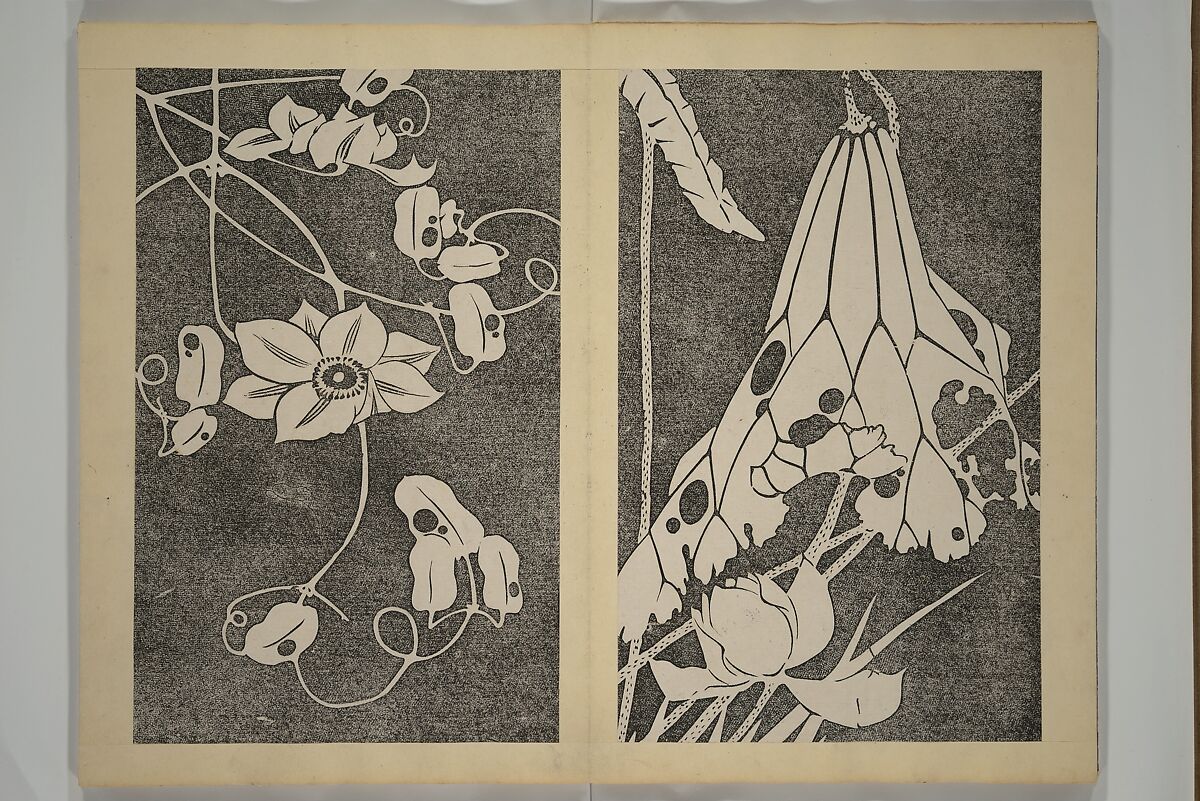 Jakuchū Picture Album (Jakuchū gajō} 若冲画帖, Itō Jakuchū 伊藤若冲 (Japanese, 1716–1800), Set of two woodblock printed books (orihon, accordion-style); ink on paper, Japan