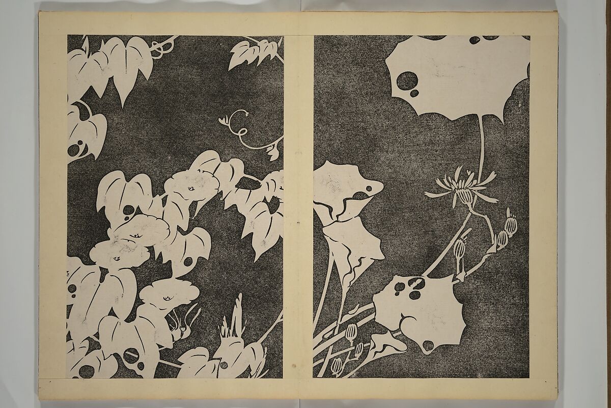 Jakuchū Picture Album (Jakuchū gajō} 若冲画帖, Itō Jakuchū 伊藤若冲 (Japanese, 1716–1800), Set of two woodblock printed books (orihon, accordion-style); ink on paper, Japan