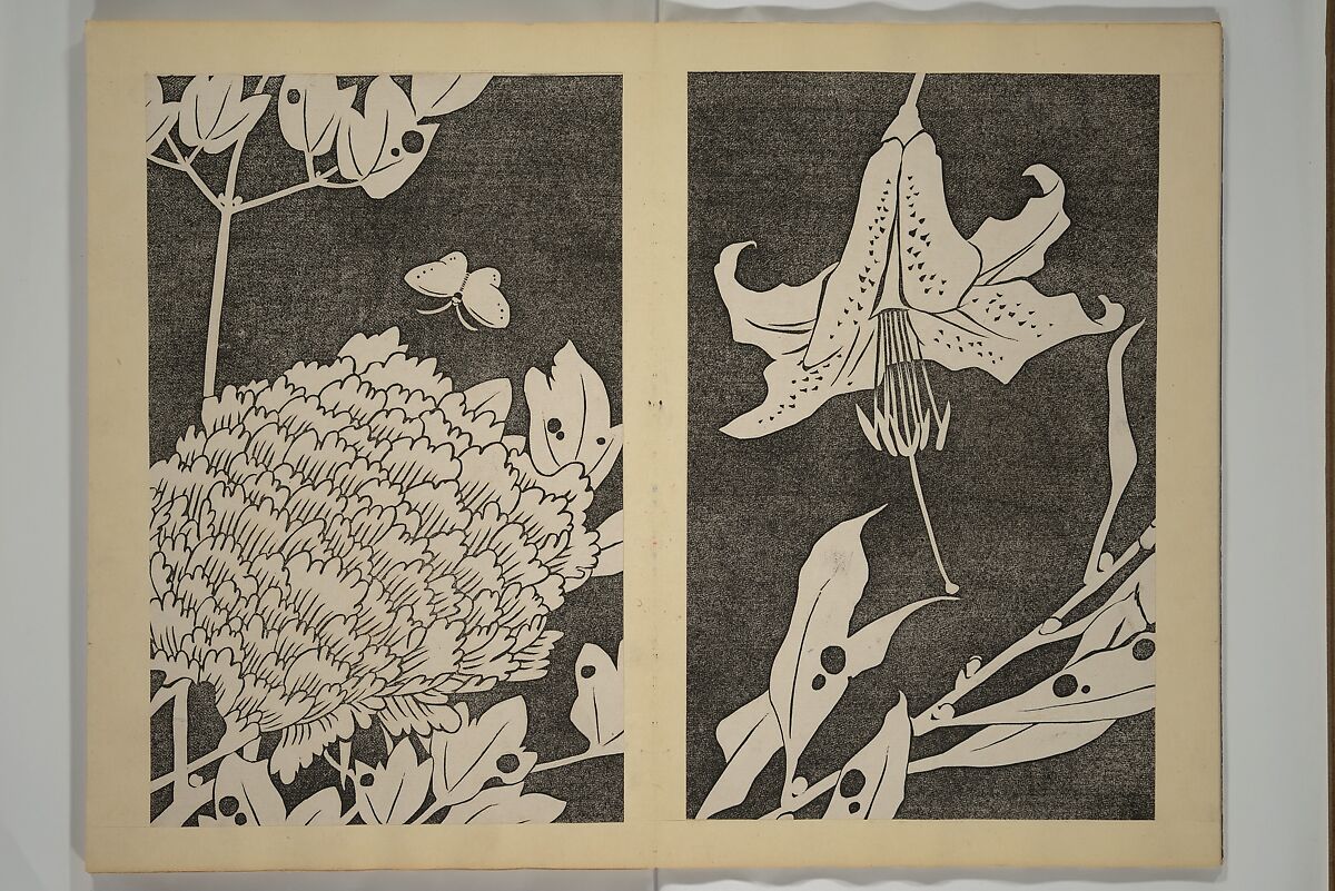 Jakuchū Picture Album (Jakuchū gajō} 若冲画帖, Itō Jakuchū 伊藤若冲 (Japanese, 1716–1800), Set of two woodblock printed books (orihon, accordion-style); ink on paper, Japan