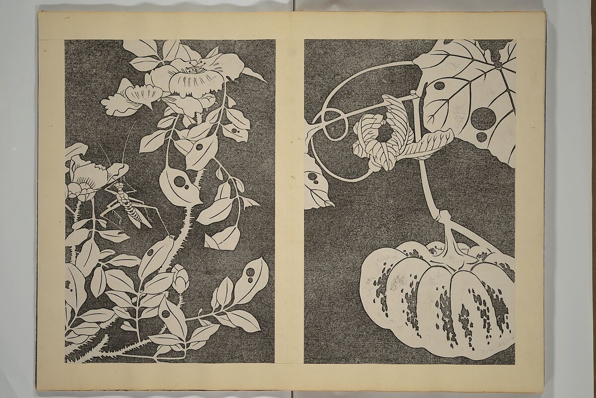 Jakuchū Picture Album (Jakuchū gajō} 若冲画帖, Itō Jakuchū 伊藤若冲 (Japanese, 1716–1800), Set of two woodblock printed books (orihon, accordion-style); ink on paper, Japan