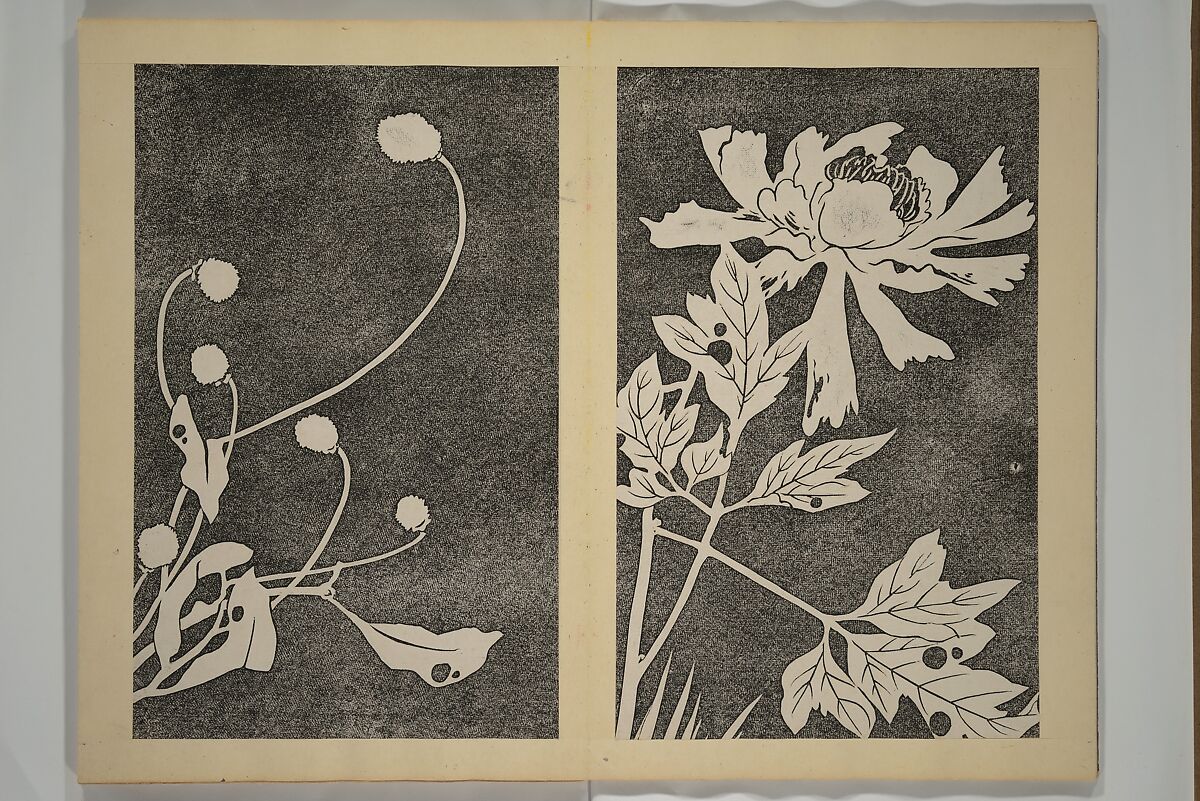 Jakuchū Picture Album (Jakuchū gajō} 若冲画帖, Itō Jakuchū 伊藤若冲 (Japanese, 1716–1800), Set of two woodblock printed books (orihon, accordion-style); ink on paper, Japan