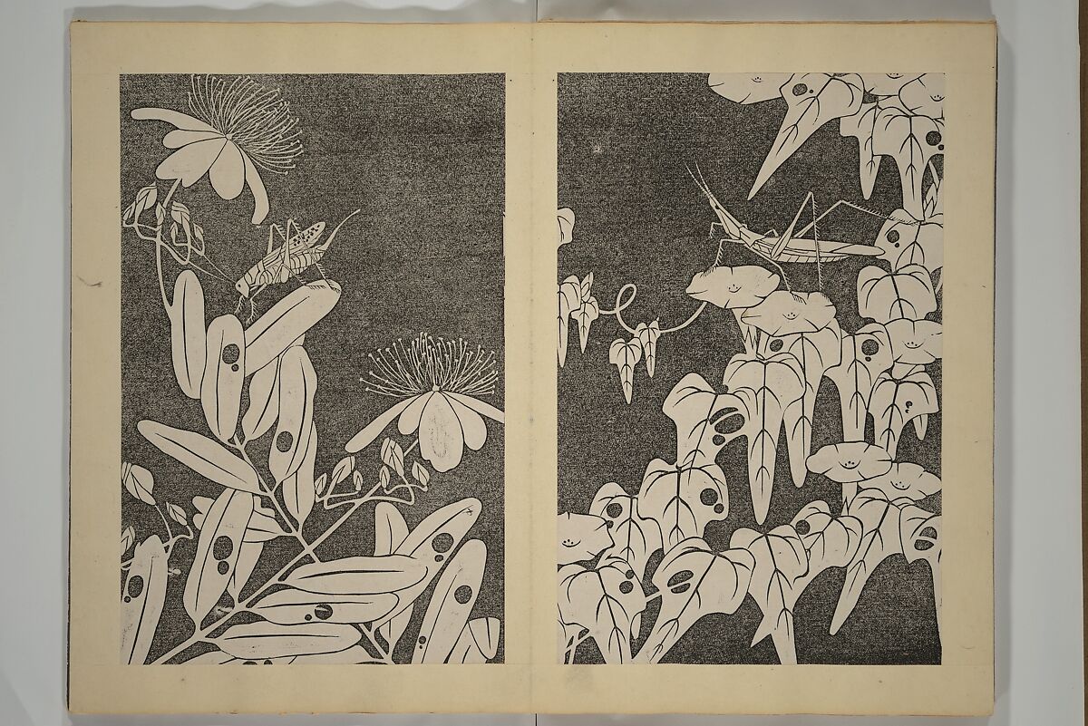 Jakuchū Picture Album (Jakuchū gajō} 若冲画帖, Itō Jakuchū 伊藤若冲 (Japanese, 1716–1800), Set of two woodblock printed books (orihon, accordion-style); ink on paper, Japan